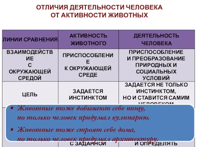 ОТЛИЧИЯ ДЕЯТЕЛЬНОСТИ ЧЕЛОВЕКА ОТ АКТИВНОСТИ ЖИВОТНЫХ Животные тоже добывают себе пищу, но