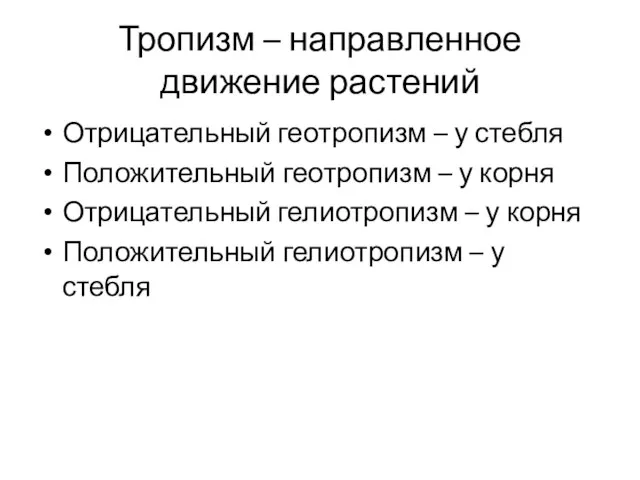 Тропизм – направленное движение растений Отрицательный геотропизм – у стебля Положительный геотропизм