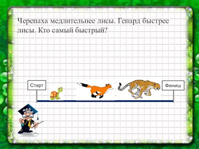 Черепаха медлительнее лисы. Гепард быстрее лисы. Кто самый быстрый? Старт Финиш