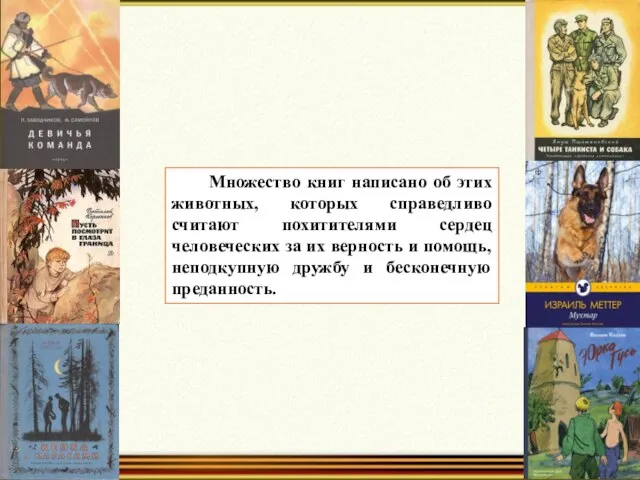 Множество книг написано об этих животных, которых справедливо считают похитителями сердец человеческих