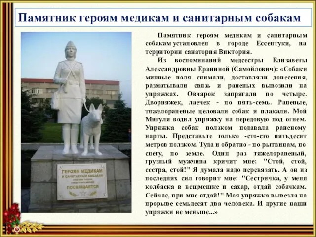Памятник героям медикам и санитарным собакам Памятник героям медикам и санитарным собакам