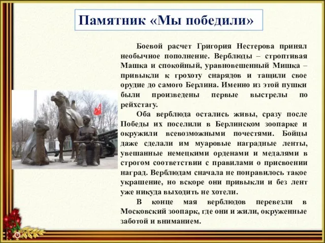 Памятник «Мы победили» Боевой расчет Григория Нестерова принял необычное пополнение. Верблюды –