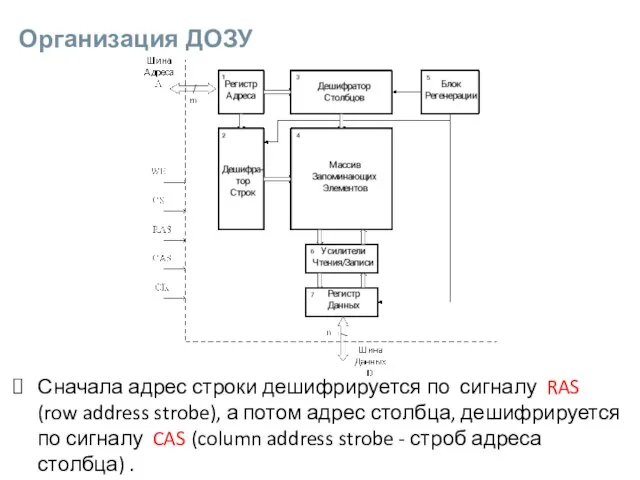 Организация ДОЗУ Сначала адрес строки дешифрируется по сигналу RAS (row address strobe),