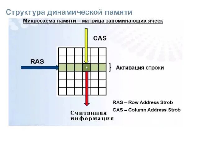 Структура динамической памяти