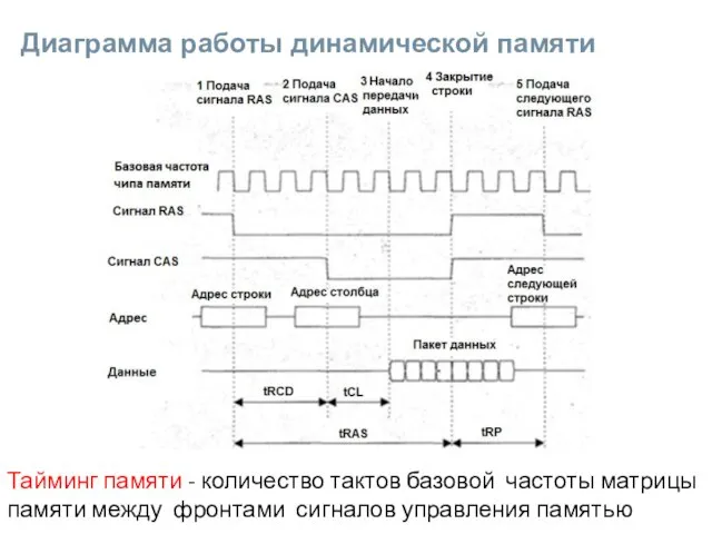 Диаграмма работы динамической памяти Тайминг памяти - количество тактов базовой частоты матрицы