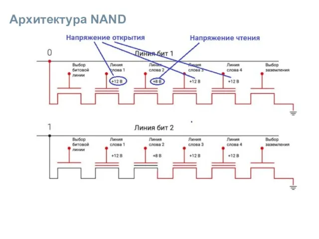 Архитектура NAND