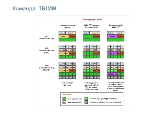 Команда TRIMM