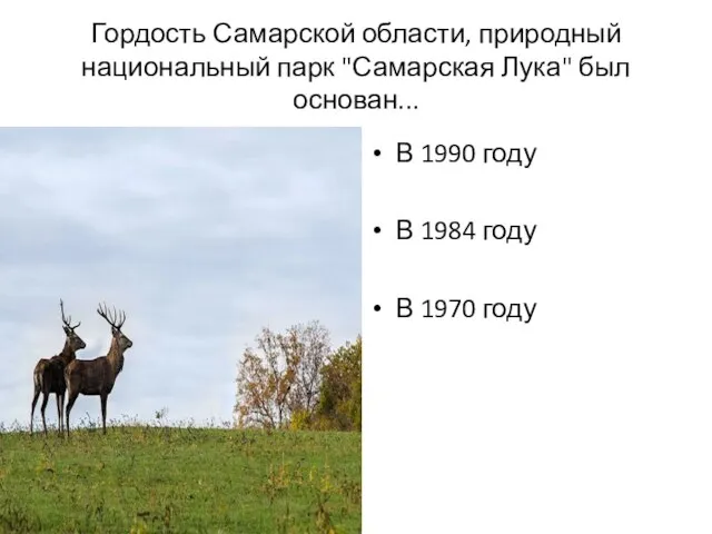 Гордость Самарской области, природный национальный парк "Самарская Лука" был основан... В 1990