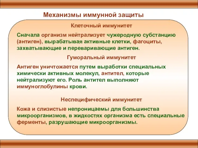 Механизмы иммунной защиты Клеточный иммунитет Сначала организм нейтрализует чужеродную субстанцию (антиген), вырабатывая