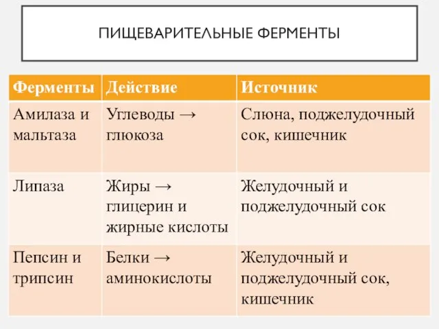 ПИЩЕВАРИТЕЛЬНЫЕ ФЕРМЕНТЫ