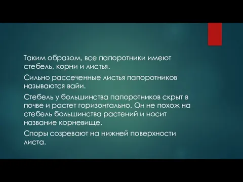 Таким образом, все папоротники имеют стебель, корни и листья. Сильно рассеченные листья