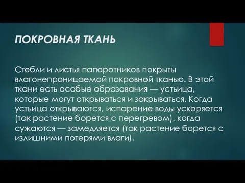 ПОКРОВНАЯ ТКАНЬ Стебли и листья папоротников покрыты влагонепроницаемой покровной тканью. В этой