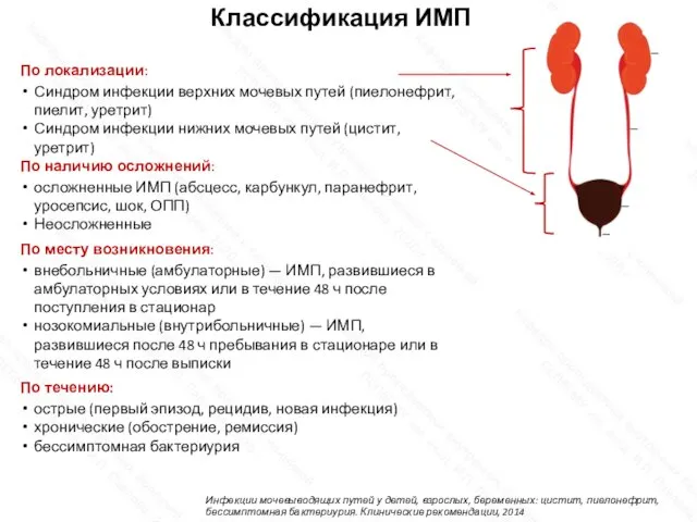 По локализации: Синдром инфекции верхних мочевых путей (пиелонефрит, пиелит, уретрит) Синдром инфекции