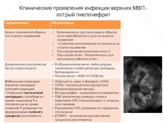 Клинические проявления инфекции верхних МВП - острый пиелонефрит