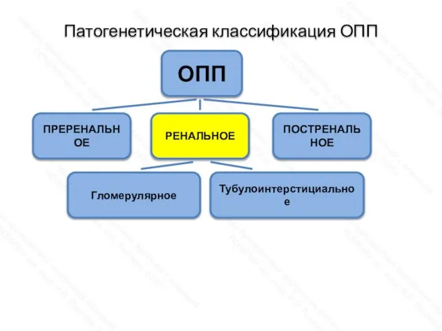 Патогенетическая классификация ОПП ОПП ПОСТРЕНАЛЬНОЕ РЕНАЛЬНОЕ ПРЕРЕНАЛЬНОЕ Гломерулярное Тубулоинтерстициальное