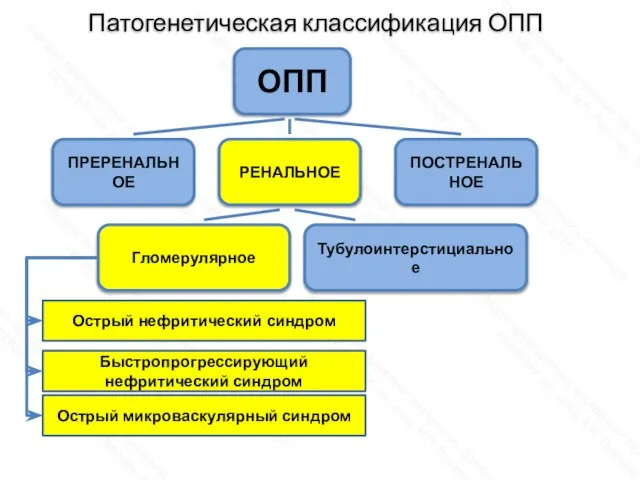 Патогенетическая классификация ОПП ОПП ПОСТРЕНАЛЬНОЕ РЕНАЛЬНОЕ ПРЕРЕНАЛЬНОЕ Гломерулярное Тубулоинтерстициальное Острый нефритический синдром