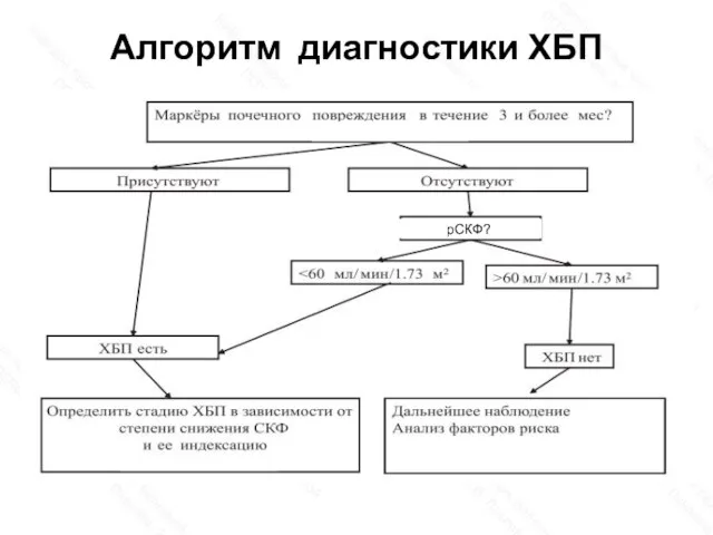 Алгоритм диагностики ХБП рСКФ?