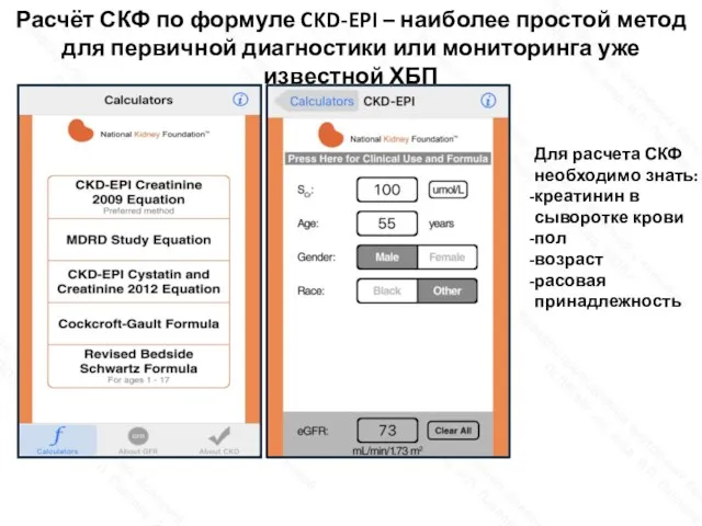 Расчёт СКФ по формуле CKD-EPI – наиболее простой метод для первичной диагностики