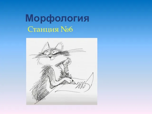 Морфология Станция №6