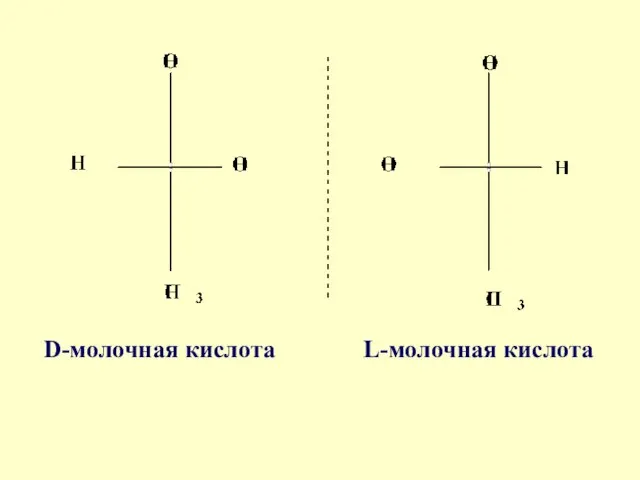 D-молочная кислота L-молочная кислота