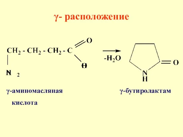 γ-аминомасляная γ-бутиролактам кислота γ- расположение