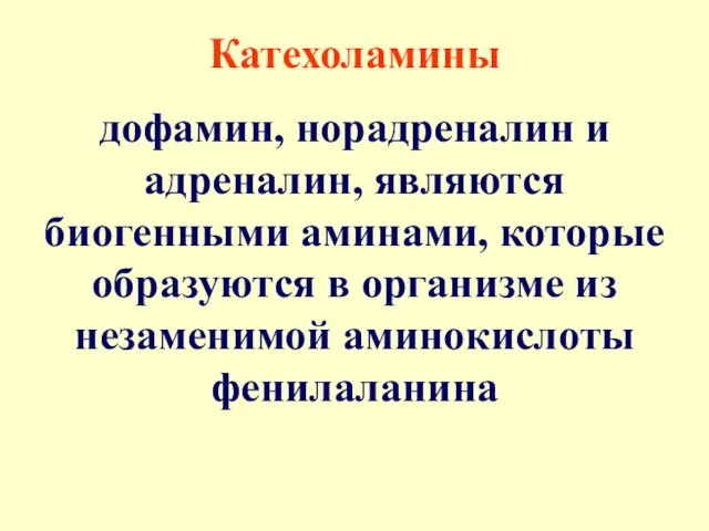 Катехоламины дофамин, норадреналин и адреналин, являются биогенными аминами, которые образуются в организме из незаменимой аминокислоты фенилаланина