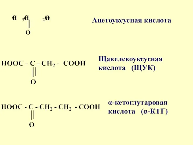 Ацетоуксусная кислота Щавелевоуксусная кислота (ЩУК) α-кетоглутаровая кислота (α-КТГ)