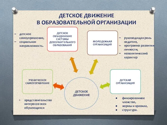 ДЕТСКОЕ ДВИЖЕНИЕ В ОБРАЗОВАТЕЛЬНОЙ ОРГАНИЗАЦИИ представительство интересов всех обучающихся фиксированное членство, нормы