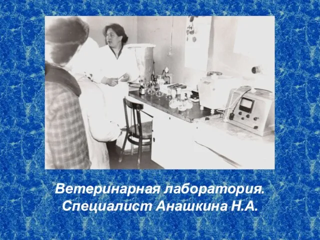 Ветеринарная лаборатория. Специалист Анашкина Н.А.