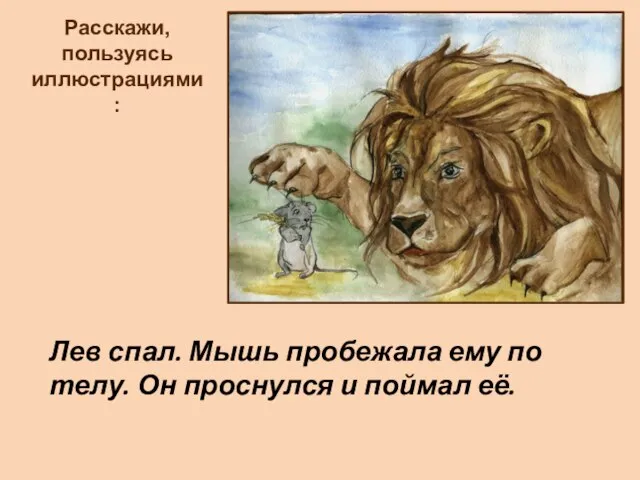 Расскажи, пользуясь иллюстрациями: Лев спал. Мышь пробежала ему по телу. Он проснулся и поймал её.