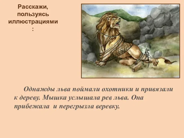 Расскажи, пользуясь иллюстрациями: Однажды льва поймали охотники и привязали к дереву. Мышка