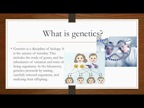 What is genetics? Genetics is a discipline of biology. It is the