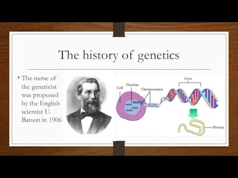 The history of genetics The name of the geneticist was proposed by
