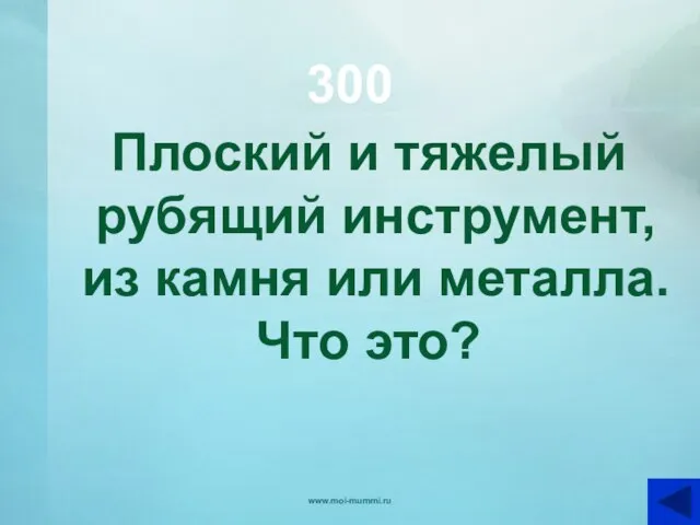 300 Плоский и тяжелый рубящий инструмент, из камня или металла. Что это? www.moi-mummi.ru