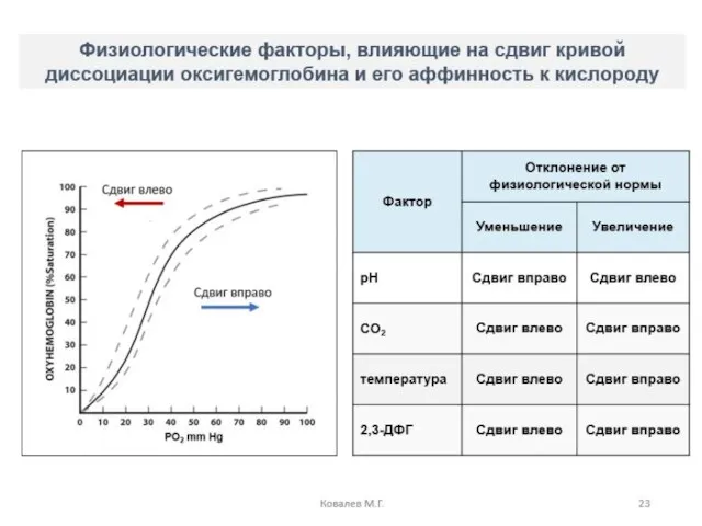 Ковалев М.Г.