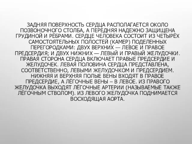 ЗАДНЯЯ ПОВЕРХНОСТЬ СЕРДЦА РАСПОЛАГАЕТСЯ ОКОЛО ПОЗВОНОЧНОГО СТОЛБА, А ПЕРЕДНЯЯ НАДЕЖНО ЗАЩИЩЕНА ГРУДИНОЙ