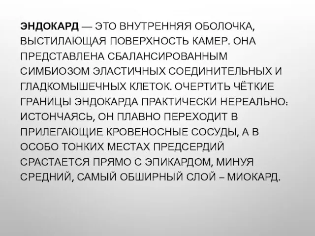 ЭНДОКАРД — ЭТО ВНУТРЕННЯЯ ОБОЛОЧКА, ВЫСТИЛАЮЩАЯ ПОВЕРХНОСТЬ КАМЕР. ОНА ПРЕДСТАВЛЕНА СБАЛАНСИРОВАННЫМ СИМБИОЗОМ