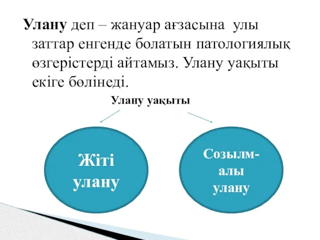 Улану деп – жануар ағзасына улы заттар енгенде болатын патологиялық өзгерістерді айтамыз.