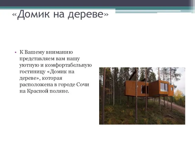 «Домик на дереве» К Вашему вниманию представляем вам нашу уютную и комфортабельную