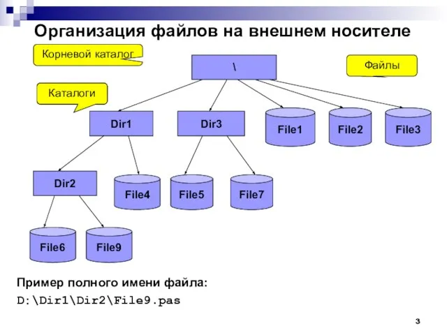 Организация файлов на внешнем носителе Пример полного имени файла: D:\Dir1\Dir2\File9.pas \ Dir1