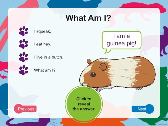 What Am I? I squeak. I eat hay. I live in a