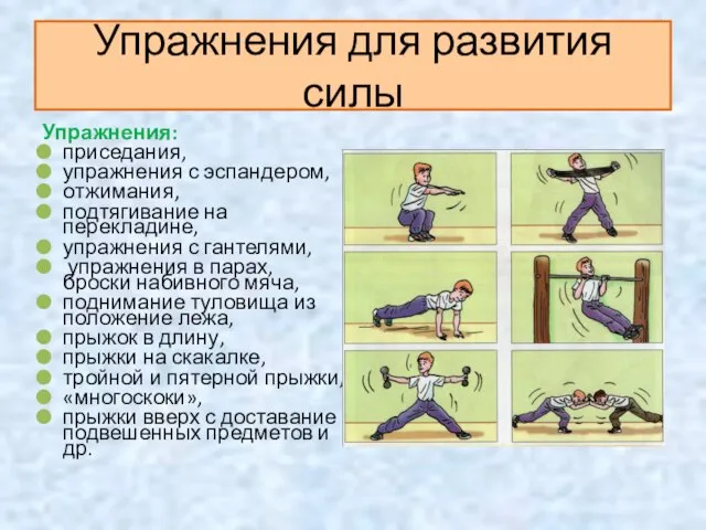 Упражнения для развития силы Упражнения: приседания, упражнения с эспандером, отжимания, подтягивание на
