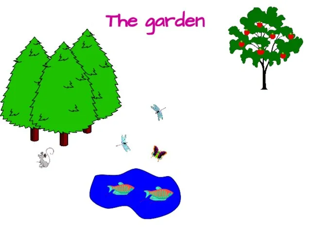 The garden