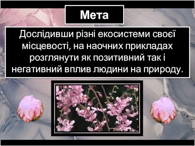 Мета Дослідивши різні екосистеми своєї місцевості, на наочних прикладах розглянути як позитивний