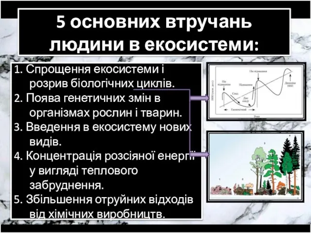 5 основних втручань людини в екосистеми: 1. Спрощення екосистеми і розрив біологічних