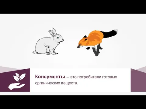 Консументы — это потребители готовых органических веществ.