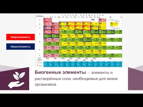 Биогенные элементы — элементы и растворённые соли, необходимые для жизни организмов. Микроэлементы Макроэлементы