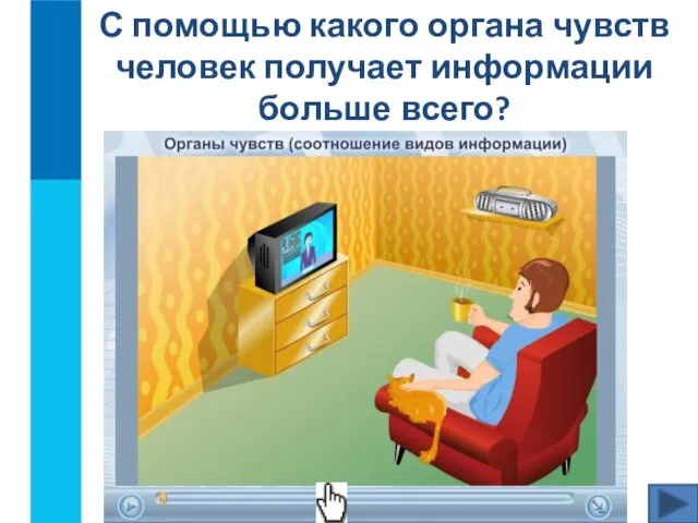 С помощью какого органа чувств человек получает информации больше всего?