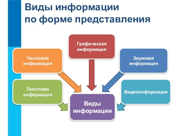 Виды информации по форме представления Виды информации Числовая информация Текстовая информация Графическая информация Видеоинформация Звуковая информация