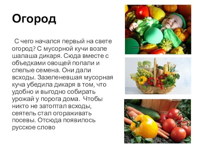 Огород С чего начался первый на свете огород? С мусорной кучи возле